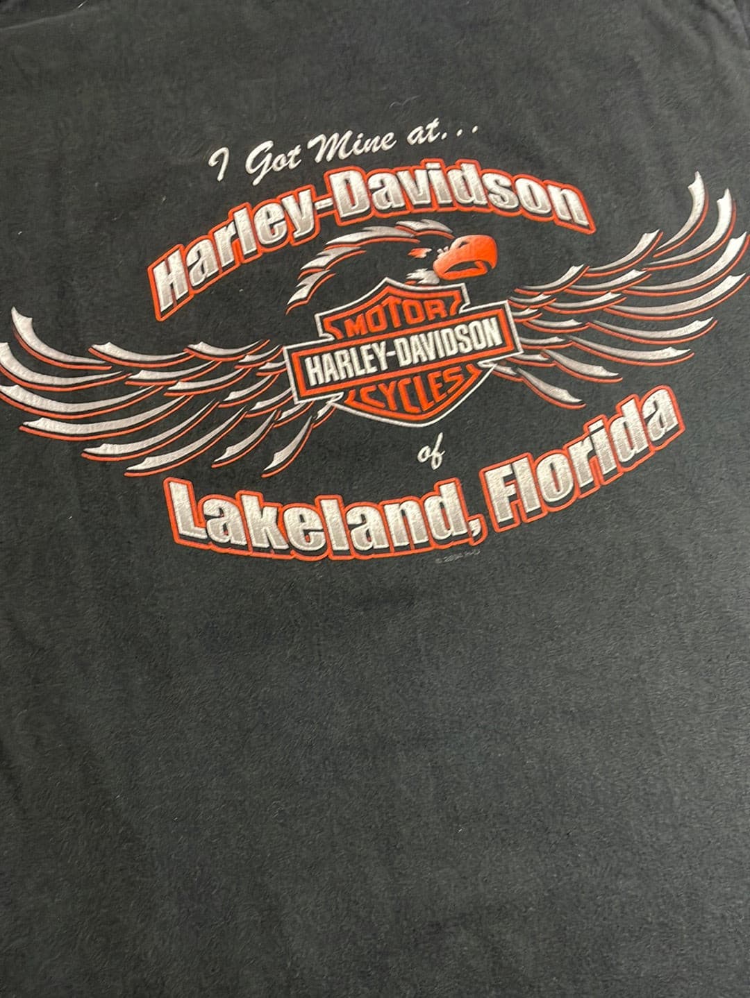 Vintage Harley Davidson „Lakeland“ Tee Black // Small - RHAGHOUSE VINTAGE
